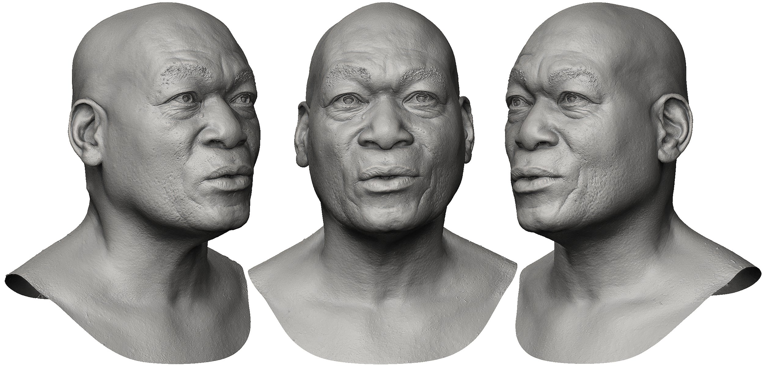 Male head topology download